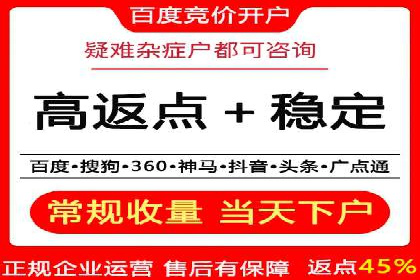 百度SEO推广策略深度解读：某企业网络营销的胜利之路